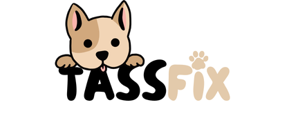TassFix SE